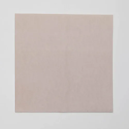 Tovagliolo Airlaid in Carta a Secco Monouso Compostabile - Britz