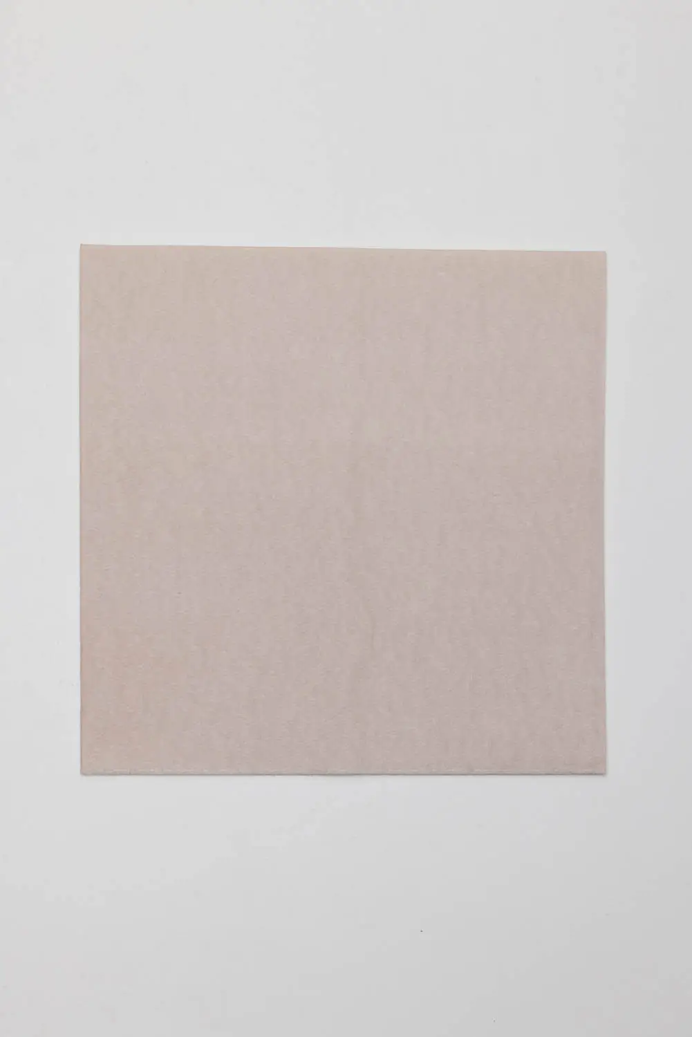 Tovagliolo Airlaid in Carta a Secco Monouso Compostabile - Britz