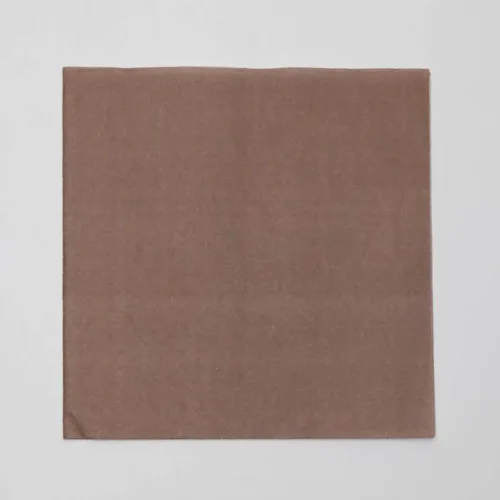 Tovagliolo Airlaid in Carta a Secco Monouso Compostabile - Britz