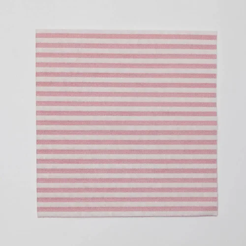 Tovaglioli in TNT Airlaid monouso compostabile – Riga