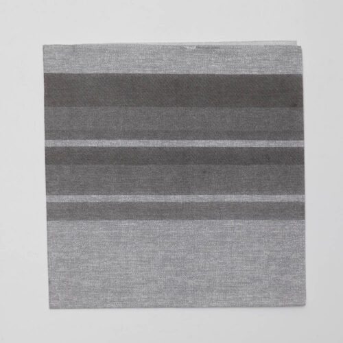 Tovagliolo in TNT Airlaid monouso compostabile - Dafne grigio